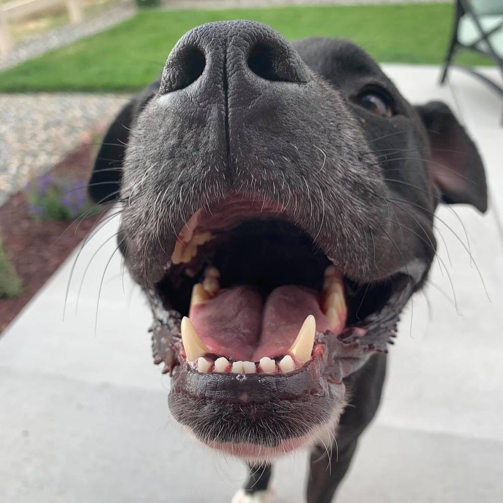 Meet your Posher, Denelle